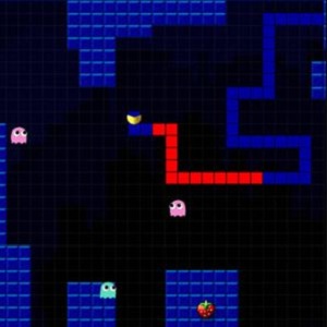 Paddon Game Pacxon ~ Play Free On HapaGames
