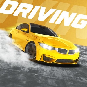 City Car Driving