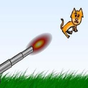 Kitten Cannon