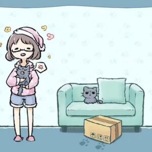 Find Cat