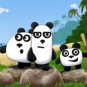 3 Pandas