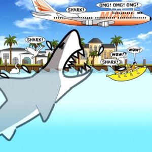 Miami Shark